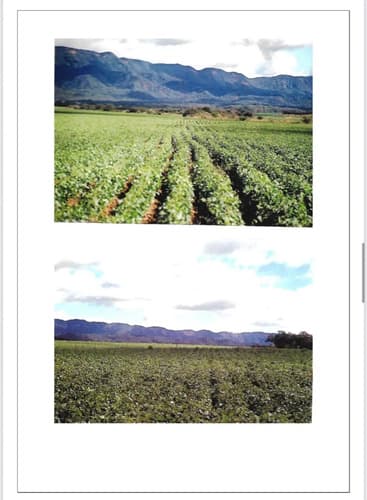 Campo 50000 hectareas venta rosario de la frontera salta en Salta