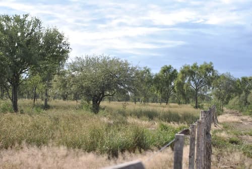 Venta 1070 ha campo stgo del estero precio por hectarea en Santiago del Estero