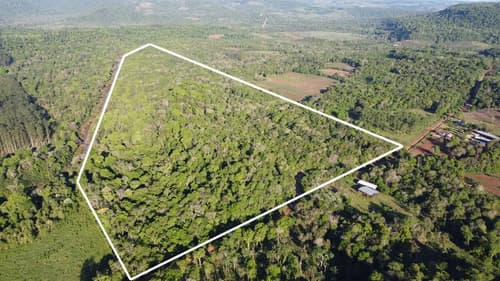 Campo de 30 hectareas en colonia acaragua