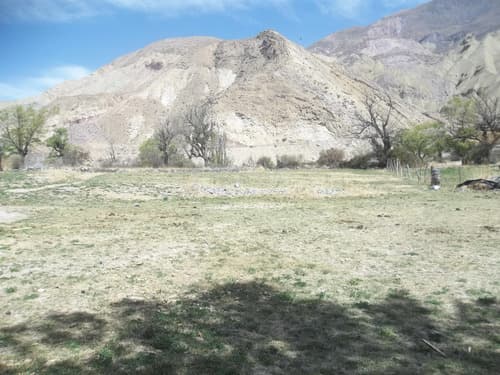 Purmamarca terrenos y fincas