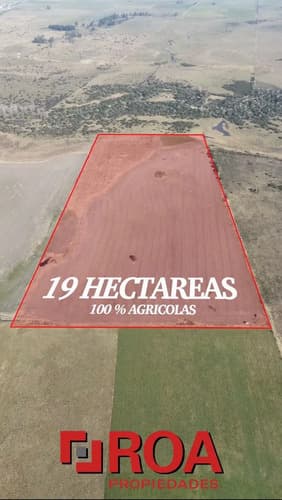 Campo de 19 hectareas 100 agricolas concepcion del uruguat