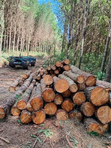 Venta campo en el dorado misiones