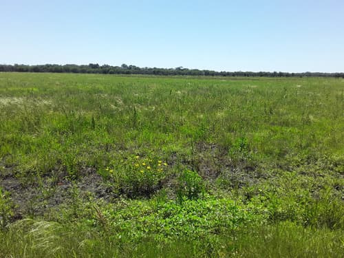 Campo agricola de 125 hectareas entre rios