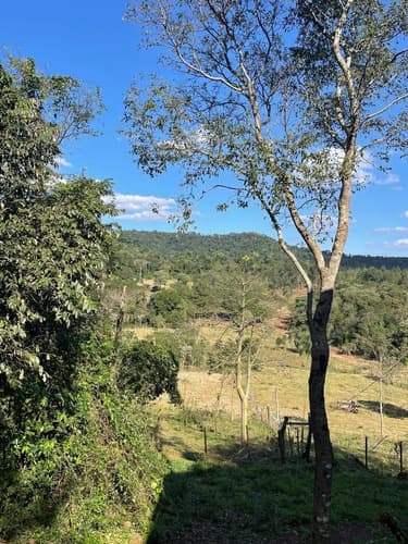 Chacra en el dorado misiones