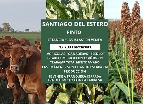 Campo en santiago del estero localidad de pinto 12700 ha mixtas a tranquera cerrada en Santiago del Estero