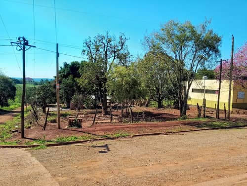 Terreno con arboles frutales varios