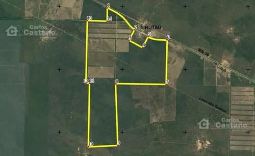 Campolote sobre ruta nacional 16 apto explotacion en Santiago del Estero