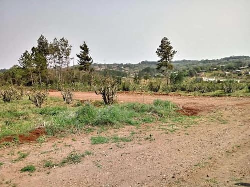 Tu terreno propio en guarani obera misiones