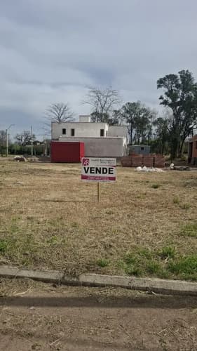 Lote en sinsacate