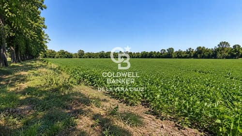 Terreno de 19980 m en venta selva de montiel parana en Paraná — foto 1