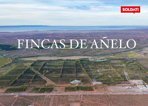 Urbanizacion unica en vaca muerta