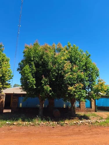 Oportunidad casa en venta en los helechos obera