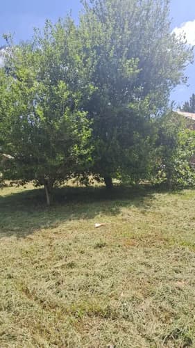 Vendo terreno en misiones wuanda