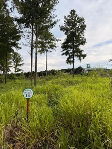 Terreno de 450m2 ubicado en el km11 de la ciudad de eldorado