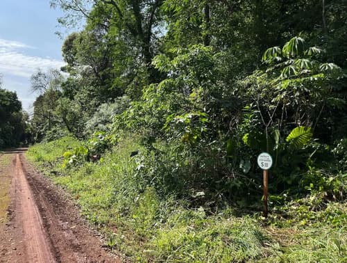 Terreno en venta callle espina corona km11 eldorado misiones