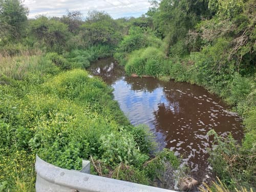 Chacra en excelente ubicacion en concepcion del uruguay