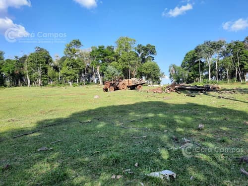 Se vende campo ganadero de 150ha en colonia delicia eldorado