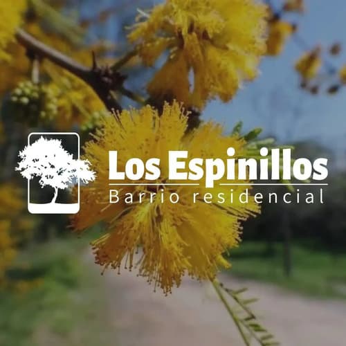 En venta lotes barrio los espinillos 295 a 390 m2 las higueras