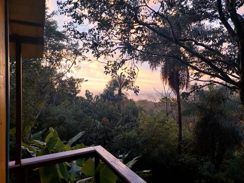 Conservacion ecoturismo o vida sustentable 30ha de selva con tres viviendas
