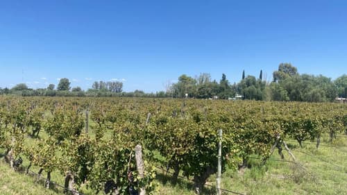 Finca en monte caseros