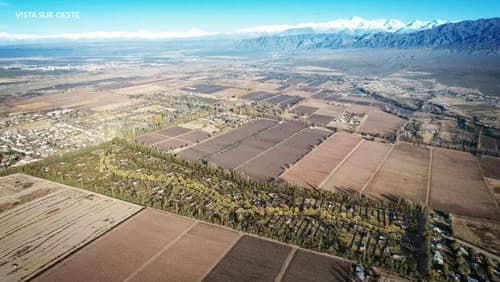 Terreno en venta en vistalba en Luján de Cuyo — foto 1