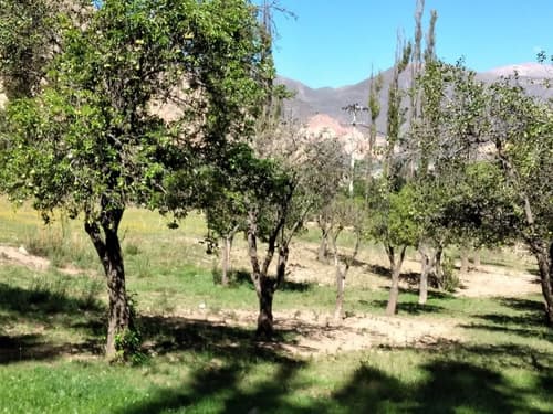 Vendo ultimos lotes tilcara en Tilcara — foto 1