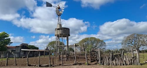 Campo ganadero y arrocero en zona centro de corrientes