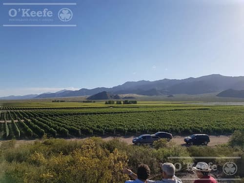 Vinedo premium de altura en mendoza en venta sobre fraccion de 23 has oportunidad