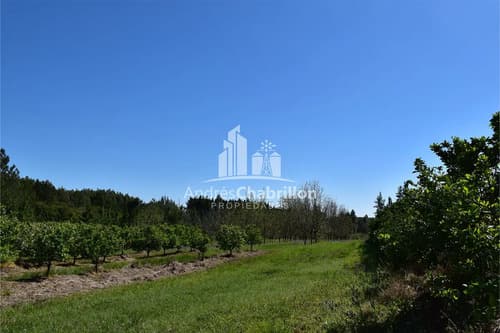 Venta campo concordia en Concordia — foto 1