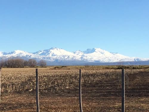 Campo agropecuario en la junta en Mendoza — foto 1