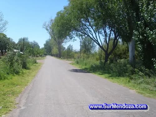 Finca santa fe 2 56ha dueno vendo para loteo o barrio privado electricidad agua potable y pronto gas natural en Mendoza — foto 1