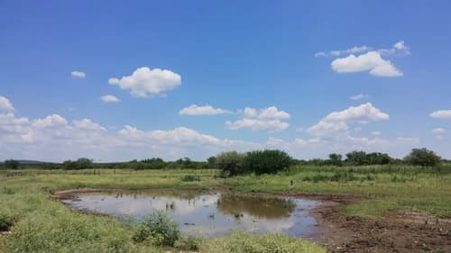 Venta de campo8400 has santiago del estero en Santiago del Estero — foto 1
