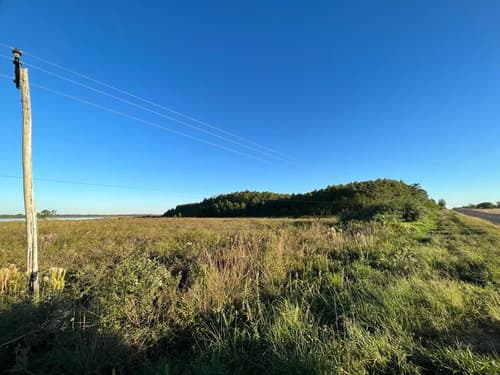Venta de campo en santa rosa concepcion corrientes
