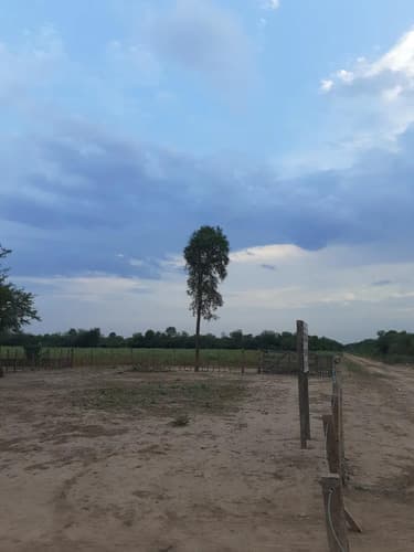 Campo a desarrollar en icano santiago del estero en Santiago del Estero