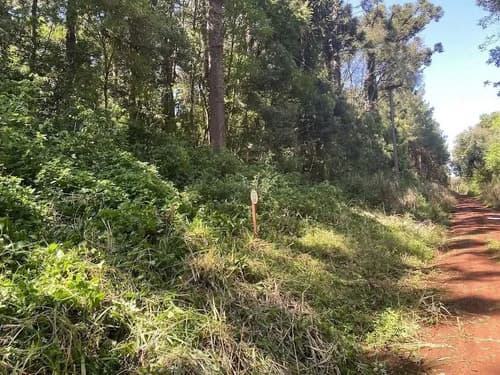 Lote de 2 hectareas en venta en la ciudad de eldorado en Eldorado — foto 1