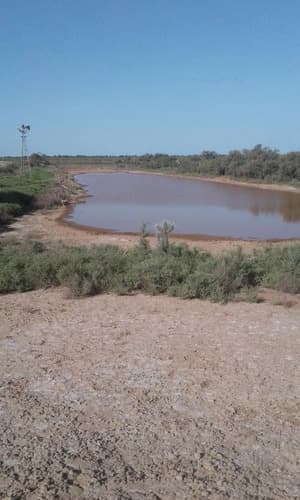 1000 ha en venta herrera santiago del estero en Santiago del Estero — foto 1