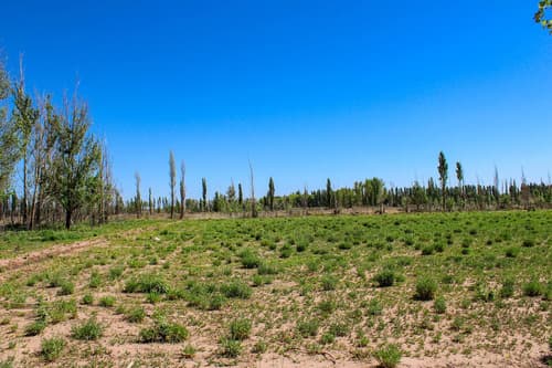Terreno industrial 3 ha con pozo gas y agua corriente en malargue en Mendoza — foto 1