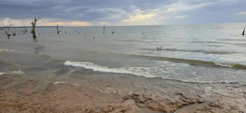Chacra de 37 ha sobre rio parana y sobre ruta sin mejoras
