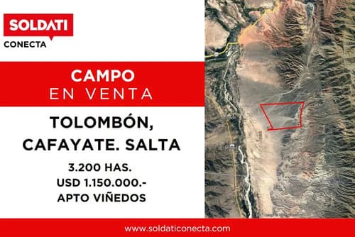 Campo apto para vinedo en venta tolombon salta