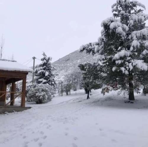 Cabanas en potrerillos con jardin y fogon en Luján de Cuyo — foto 1