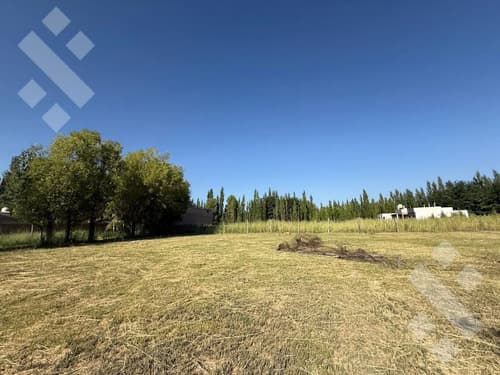 Venta lotes de 535 m2 loteo salvio plottier
