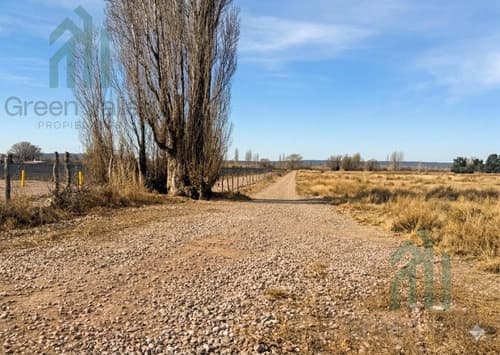 Terreno de 13 ha a metros de ruta 7 en lujan de cuyo en Luján de Cuyo — foto 1