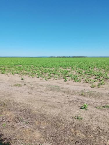 Venta campo 1200 hectareas santiago del estero en Santiago del Estero — foto 1