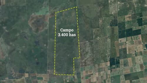 Campo en selva en Santiago del Estero — foto 1