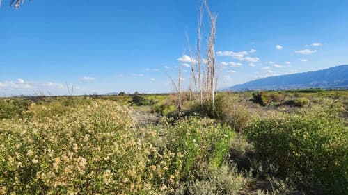 Venta de finca 7 has pocito en San Juan — foto 1