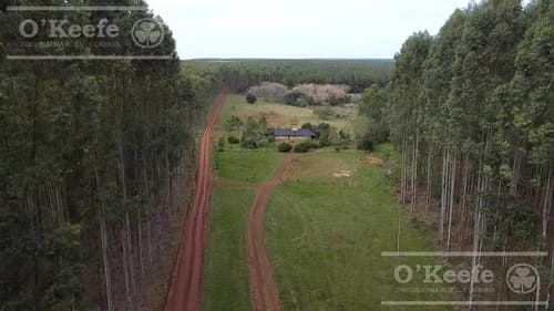 Campo en venta de 561 has en virasoro corrientes