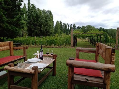 Quinta en perdriel en Luján de Cuyo — foto 1