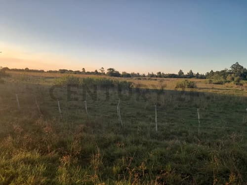 Venta campo citricolahorticola ganadero bella vista corrientes