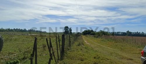 Campo y casa en venta con plantacion de limones bella vista corrientes
