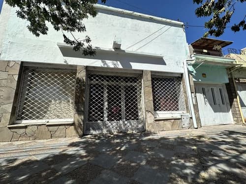 Venta de casa local y dpto en av alem palmira en San Martín — foto 1